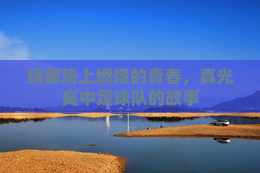 绿茵场上燃烧的青春,真光高中足球队的故事