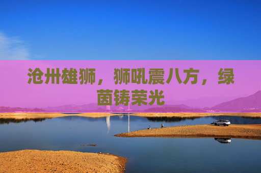 沧卅雄狮，狮吼震八方，绿茵铸荣光