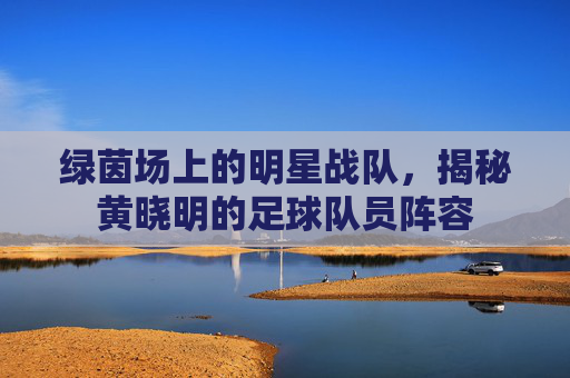绿茵场上的明星战队，揭秘黄晓明的足球队员阵容
