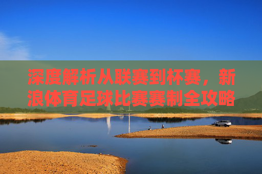 深度解析从联赛到杯赛,新浪体育足球比赛赛制全攻略