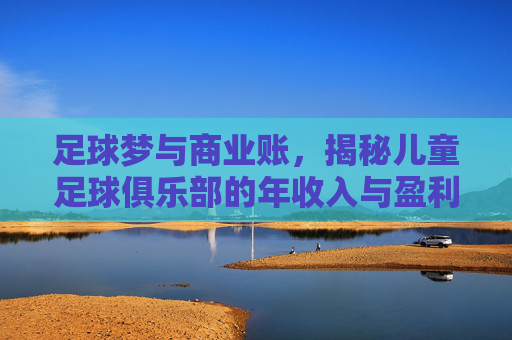 足球梦与商业账,揭秘儿童足球俱乐部的年收入与盈利模式