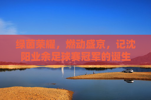 绿茵荣耀，燃动盛京，记沈阳业余足球赛冠军的诞生