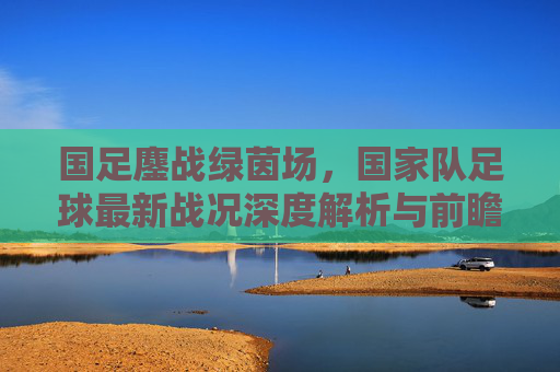 国足鏖战绿茵场,国家队足球最新战况深度解析与前瞻
