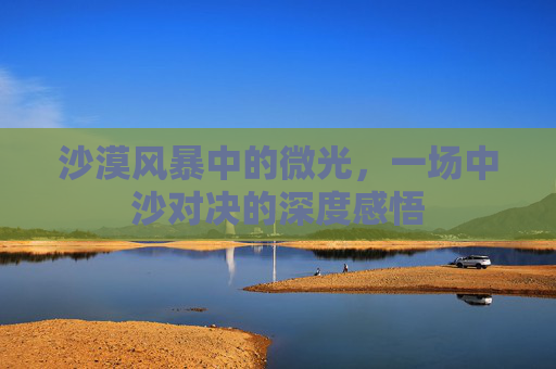 沙漠风暴中的微光,一场中沙对决的深度感悟