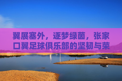 翼展塞外，逐梦绿茵，张家口翼足球俱乐部的坚韧与荣光