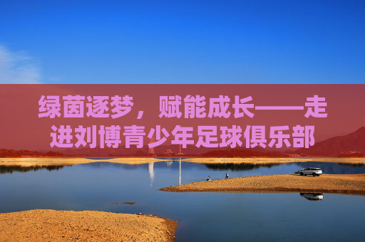 绿茵逐梦,赋能成长——走进刘博青少年足球俱乐部