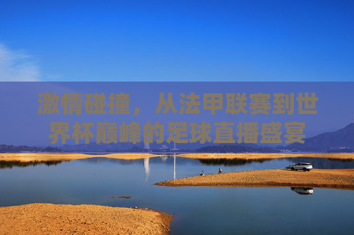 激情碰撞,从法甲联赛到世界杯巅峰的足球直播盛宴