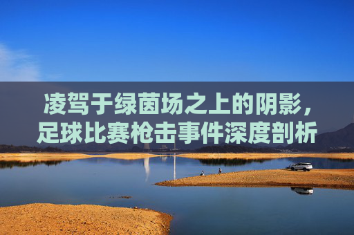 凌驾于绿茵场之上的阴影，足球比赛枪击事件深度剖析