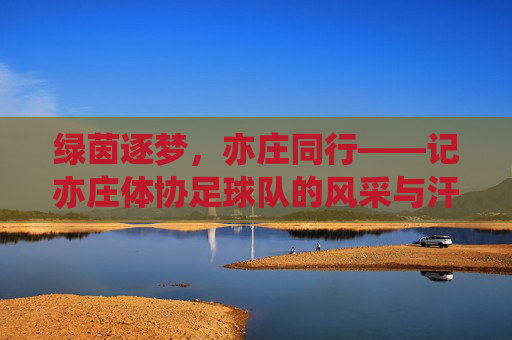 绿茵逐梦,亦庄同行——记亦庄体协足球队的风采与汗水