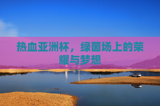 热血亚洲杯,绿茵场上的荣耀与梦想