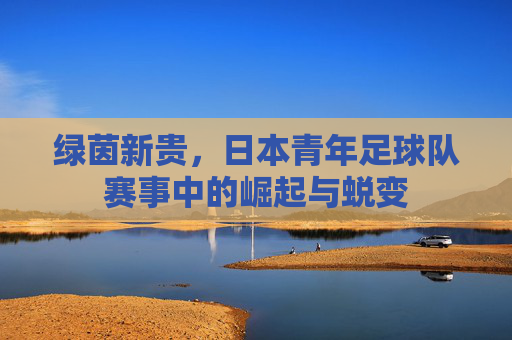绿茵新贵,日本青年足球队赛事中的崛起与蜕变