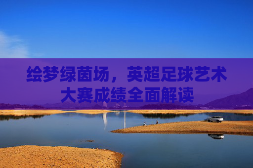 绘梦绿茵场,英超足球艺术大赛成绩全面解读