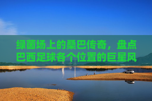 绿茵场上的桑巴传奇,盘点巴西足球各个位置的巨星风采