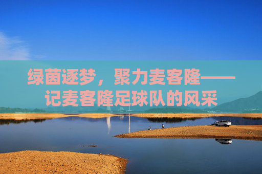 绿茵逐梦,聚力麦客隆——记麦客隆足球队的风采
