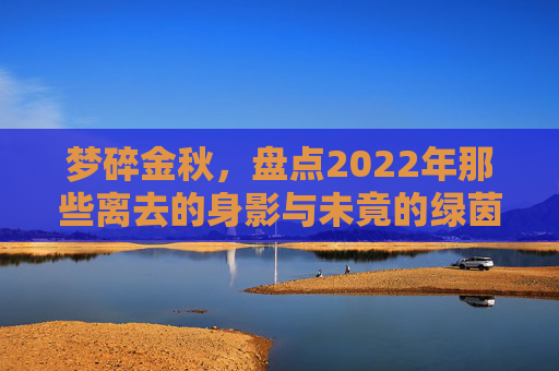 梦碎金秋,盘点2022年那些离去的身影与未竟的绿茵梦