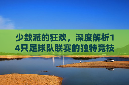 少数派的狂欢,深度解析14只足球队联赛的独特竞技美学