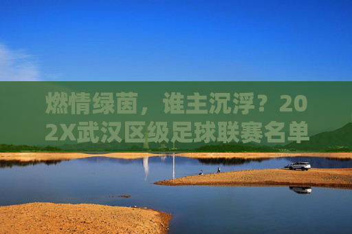 燃情绿茵,谁主沉浮?202X武汉区级足球联赛名单重磅揭晓