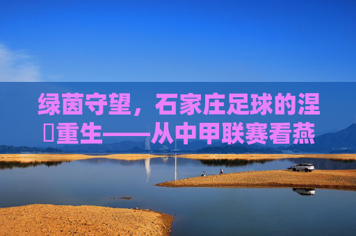 绿茵守望，石家庄足球的涅槃重生——从中甲联赛看燕赵雄风