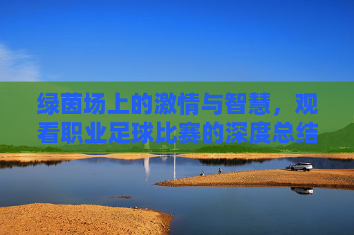 绿茵场上的激情与智慧，观看职业足球比赛的深度总结
