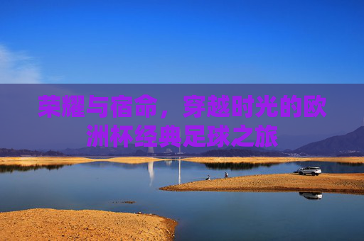 荣耀与宿命，穿越时光的欧洲杯经典足球之旅