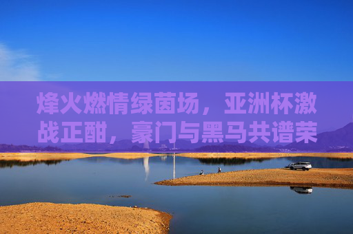 烽火燃情绿茵场,亚洲杯激战正酣,豪门与黑马共谱荣耀篇章