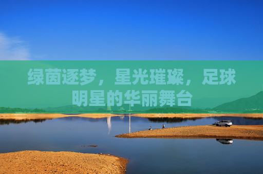 绿茵逐梦，星光璀璨，足球明星的华丽舞台