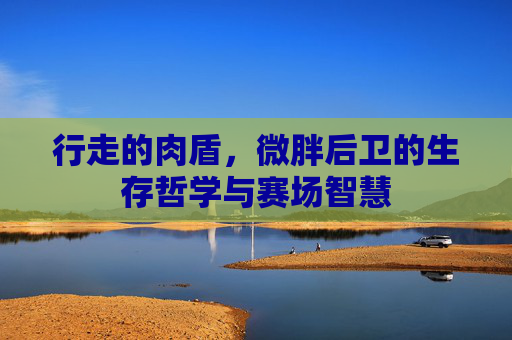 行走的肉盾,微胖后卫的生存哲学与赛场智慧