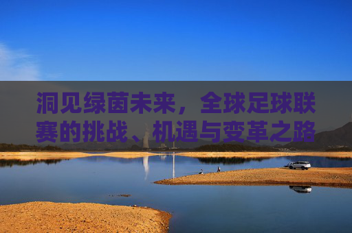 洞见绿茵未来，全球足球联赛的挑战、机遇与变革之路