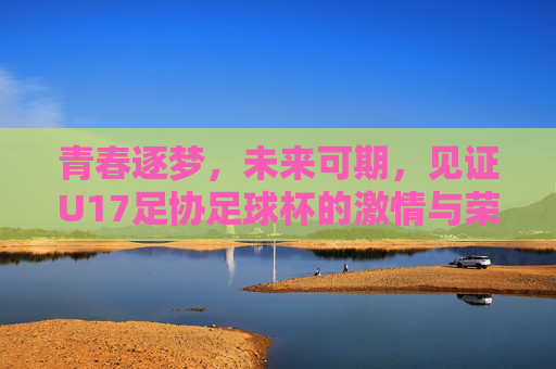 青春逐梦，未来可期，见证U17足协足球杯的激情与荣耀