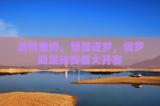 激情重燃，绿茵逐梦，俄罗斯足球赛盛大开赛