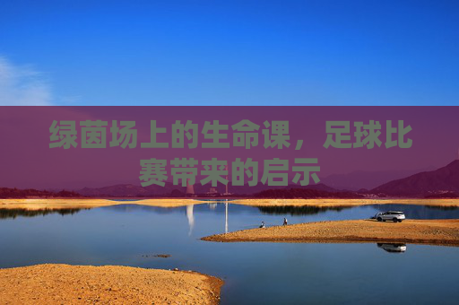 绿茵场上的生命课，足球比赛带来的启示