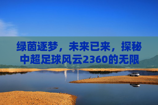 绿茵逐梦,未来已来,探秘中超足球风云2360的无限魅力