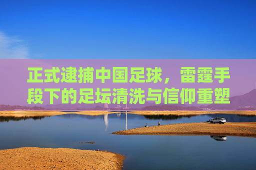 正式逮捕中国足球,雷霆手段下的足坛清洗与信仰重塑