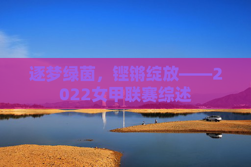 逐梦绿茵,铿锵绽放——2022女甲联赛综述