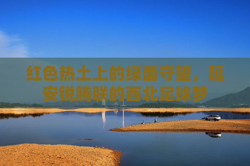 红色热土上的绿茵守望，延安锐腾联的西北足球梦