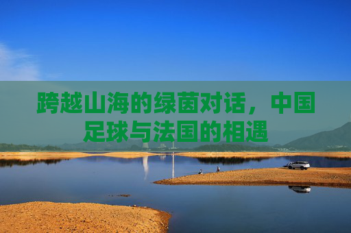 跨越山海的绿茵对话，中国足球与法国的相遇