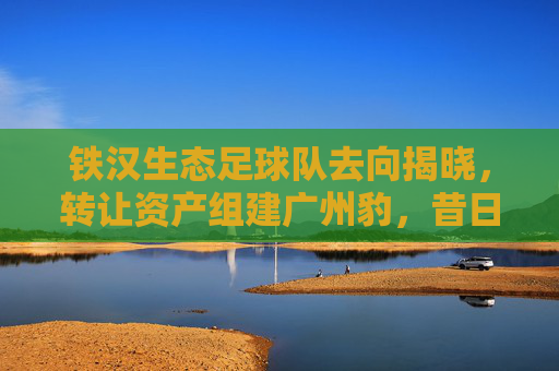 铁汉生态足球队去向揭晓，转让资产组建广州豹，昔日绿茵劲旅华丽转身