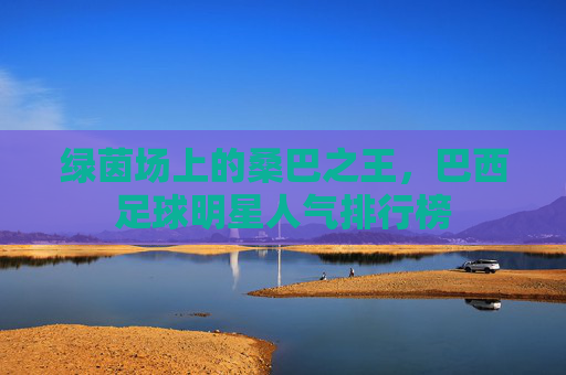 绿茵场上的桑巴之王，巴西足球明星人气排行榜