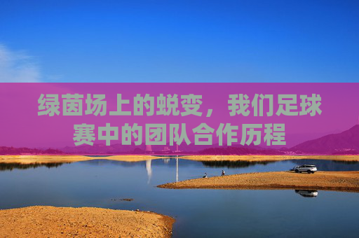 绿茵场上的蜕变，我们足球赛中的团队合作历程