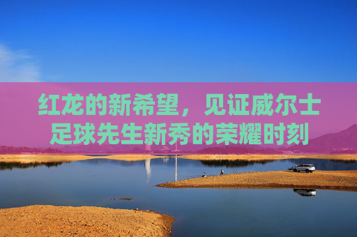 红龙的新希望,见证威尔士足球先生新秀的荣耀时刻