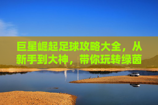 巨星崛起足球攻略大全，从新手到大神，带你玩转绿茵场，打造你的梦幻豪门