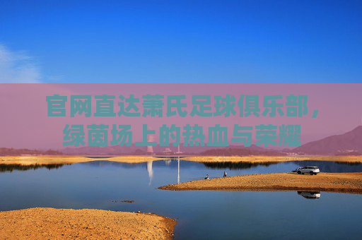 官网直达萧氏足球俱乐部,绿茵场上的热血与荣耀