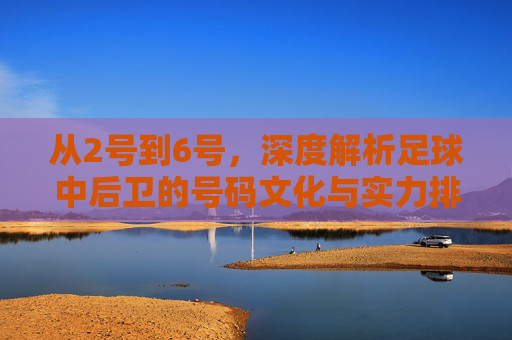 从2号到6号，深度解析足球中后卫的号码文化与实力排名
