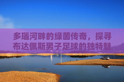 多瑙河畔的绿茵传奇,探寻布达佩斯男子足球的独特魅力
