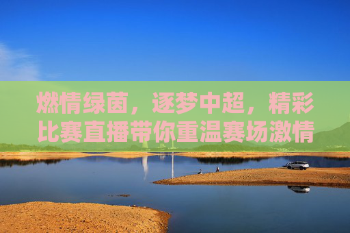 燃情绿茵,逐梦中超,精彩比赛直播带你重温赛场激情
