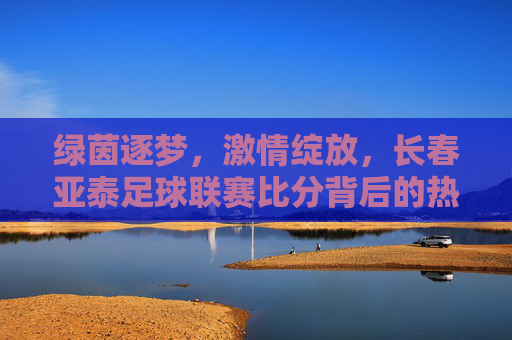 绿茵逐梦,激情绽放,长春亚泰足球联赛比分背后的热血故事