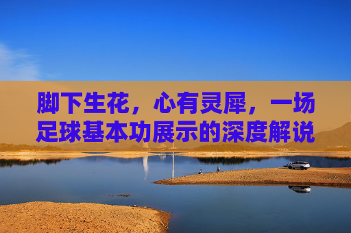 脚下生花，心有灵犀，一场足球基本功展示的深度解说