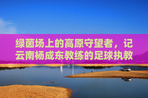 绿茵场上的高原守望者，记云南杨成东教练的足球执教生涯