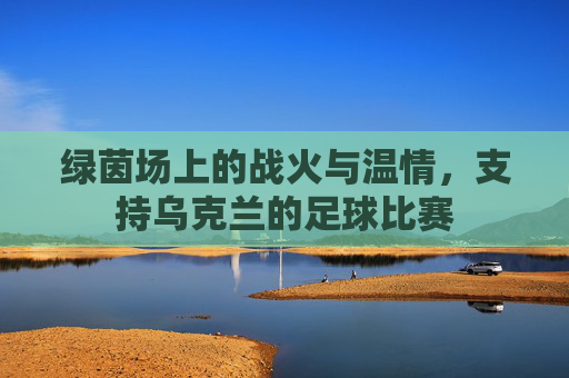 绿茵场上的战火与温情，支持乌克兰的足球比赛