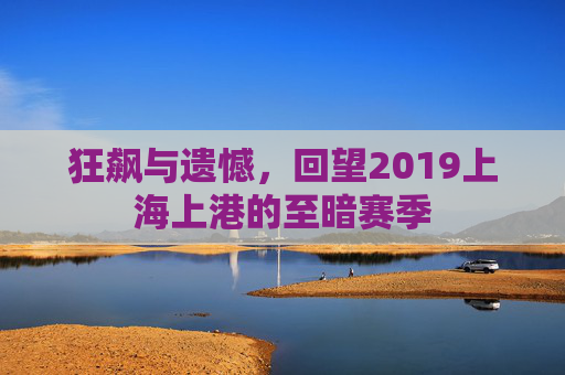 狂飙与遗憾,回望2019上海上港的至暗赛季